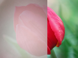 1683792264761259.png 1602825312214840.png